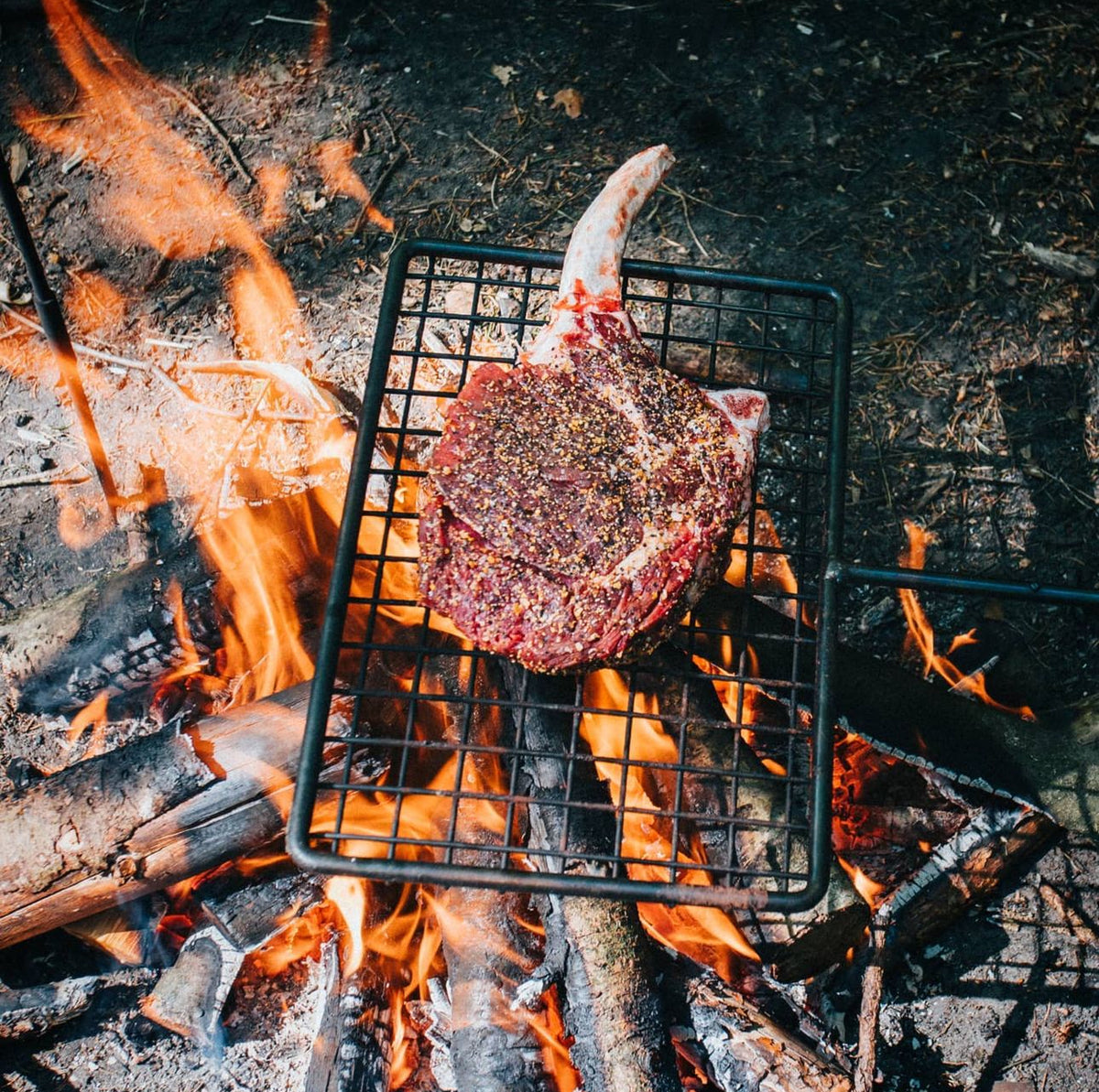 Fire anchor Cooking Swing Arm. Bushcraft and Camping Cooking Set for Hanging Billy Cans, Kettles with a Grill Arm